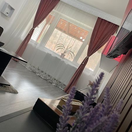 Aky Residence Сленік-Молдова Екстер'єр фото